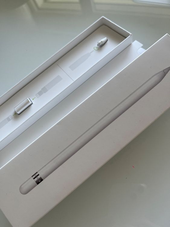 Apple Pencil ErsatzSpitze und Verbindungsstück Kaufen auf Ricardo