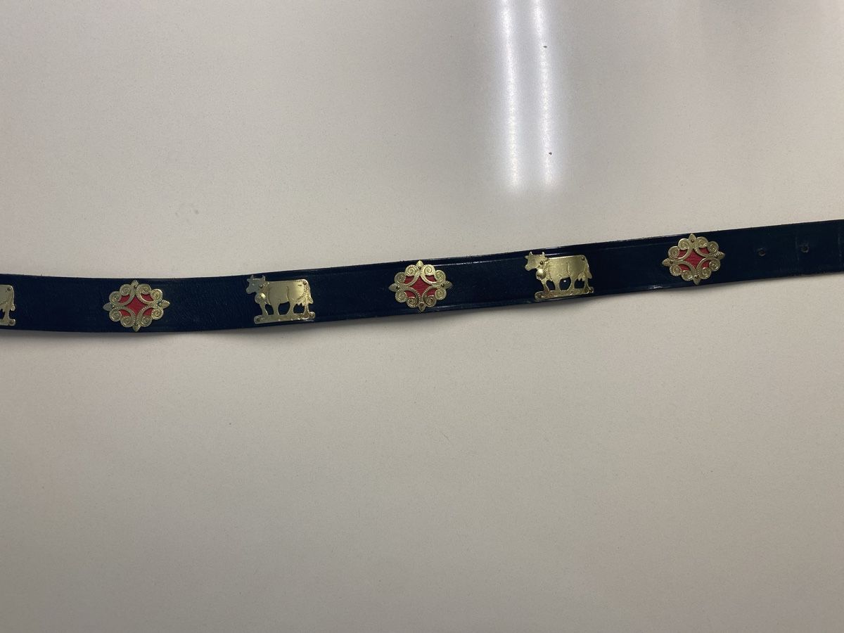 Cinture: Appenzeller Chüeligurt  – Usato da Ecuvillens venduto da bru_9pbq 3
