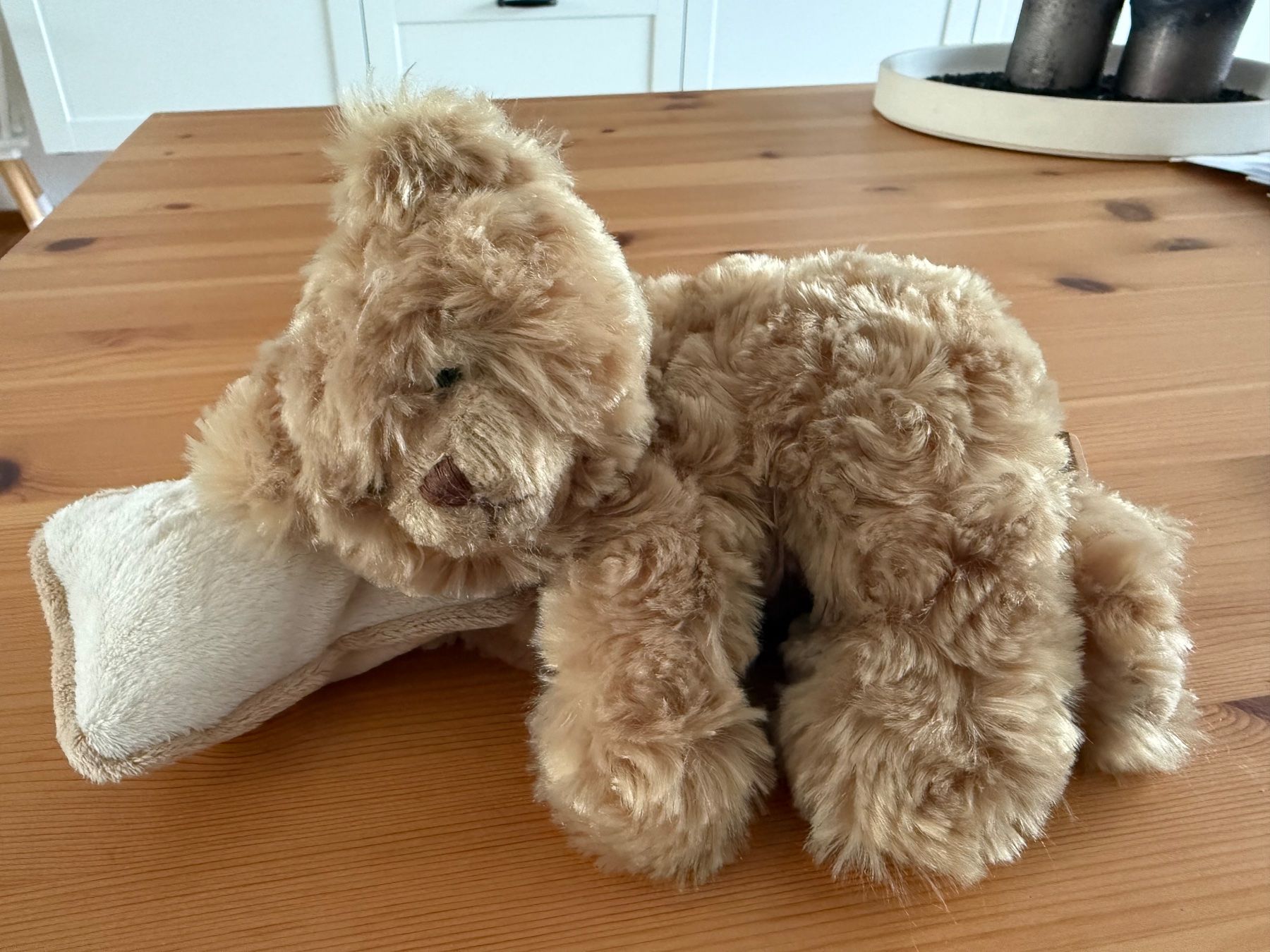 Giocattoli: BUKOWSKI Teddybär klein – Nuovo (secondo la descrizione) da Richterswil venduto da Eunoia85