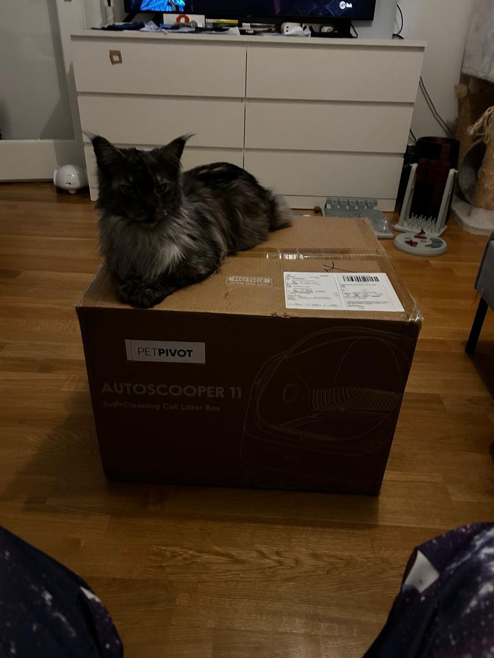 WC: petpivot autoscooper 11 litter box for big cats – Neu und originalverpackt aus Zürich von gra_2682 1