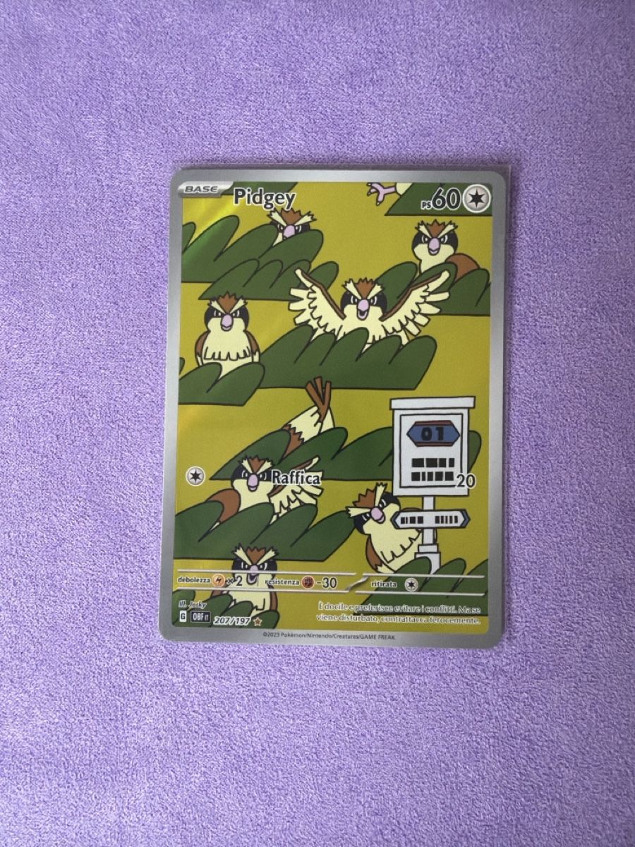 Pokémon Carte collezionabili: Pidgey 207/197 NM – Usato da Cadro venduto da rarecandycustoms