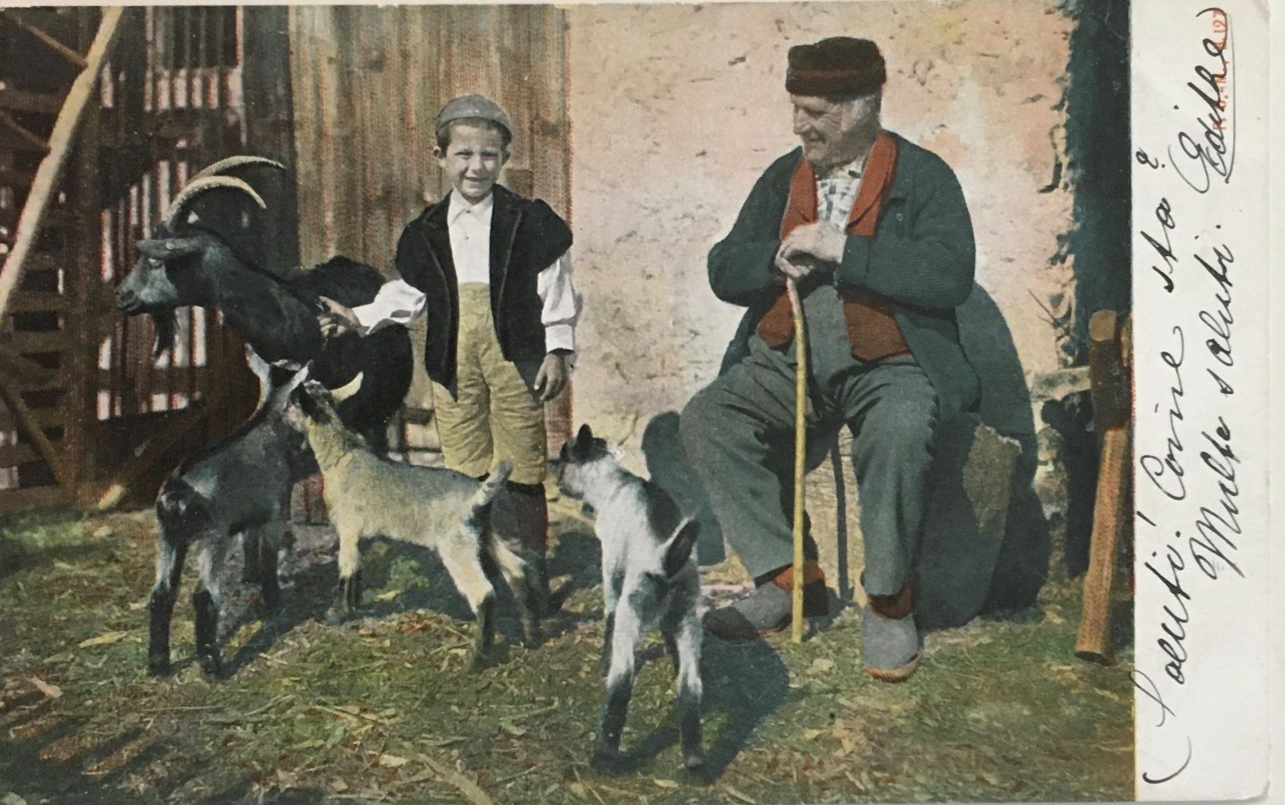 Cartoline postali: Landwirtschaft, Bauer, Ziegen – Usato da Frauenfeld venduto da Merk52