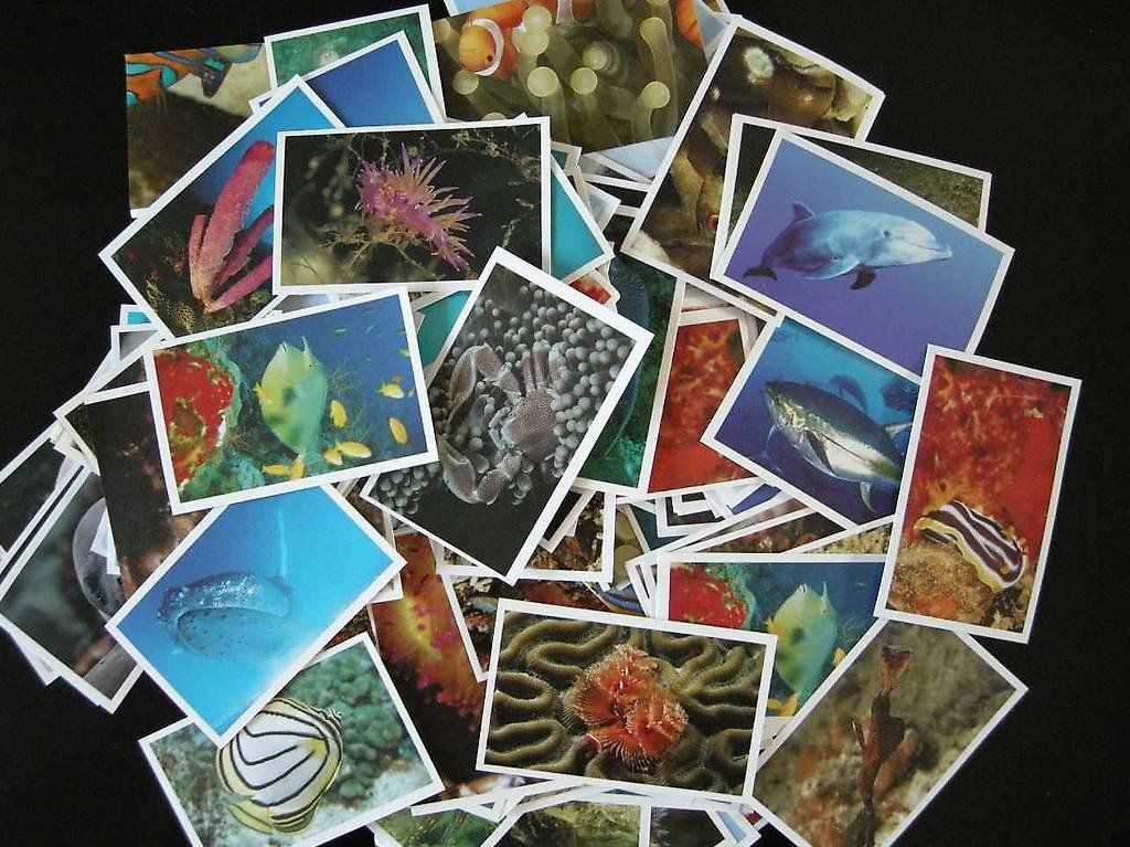 Migros Carte collezionabili: Lilibiggs Oceanmania 2 Sticker-Set – Nuovo (secondo la descrizione) da Dietikon venduto da Klopfer05