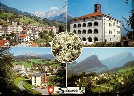 4-Bild-AK SEEWIS Das Narzissendorf im Prättigau