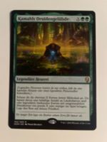 1 x Kamahls Druidengelübde - Magic: The Gathering - MtG