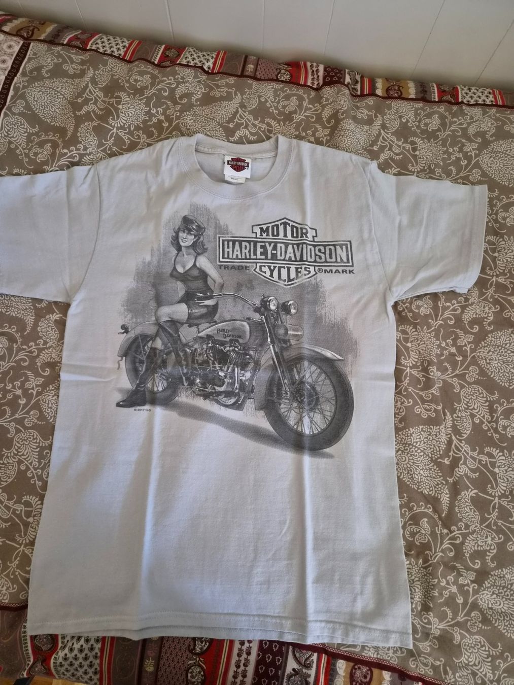 Harley-Davidson Chemises: Harley-Davidson, taglia S – D'occasion à Viganello par SoldiniG