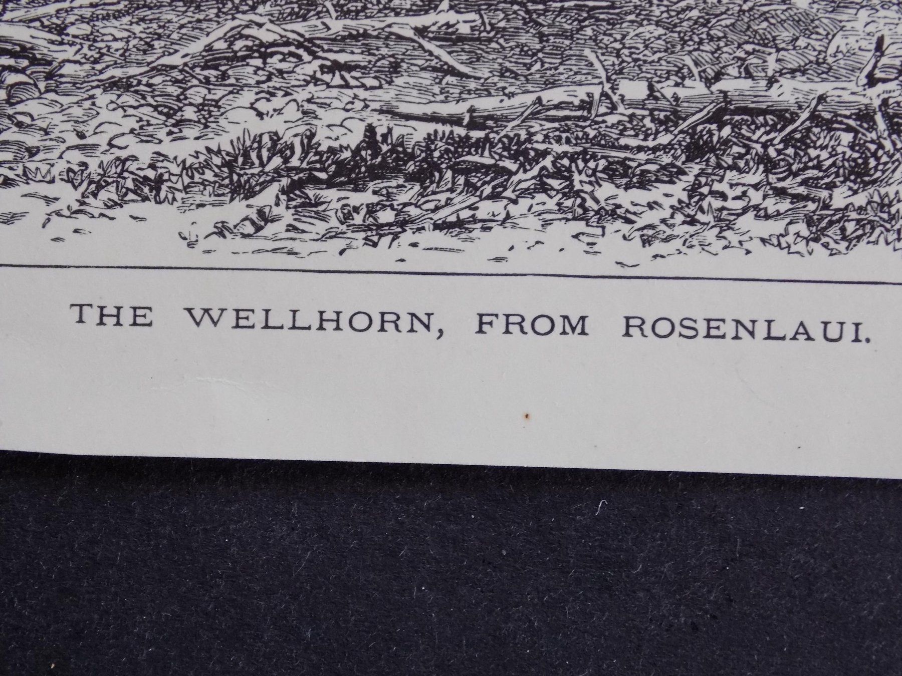 Incisioni: Wellhorn Rosenlaui – Usato da Risch venduto da Rischli15 2