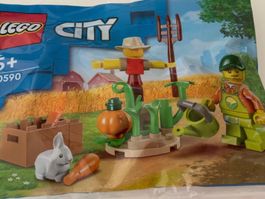 Lego city 30590, lego hallowee, lego polybag, lego scarecrow