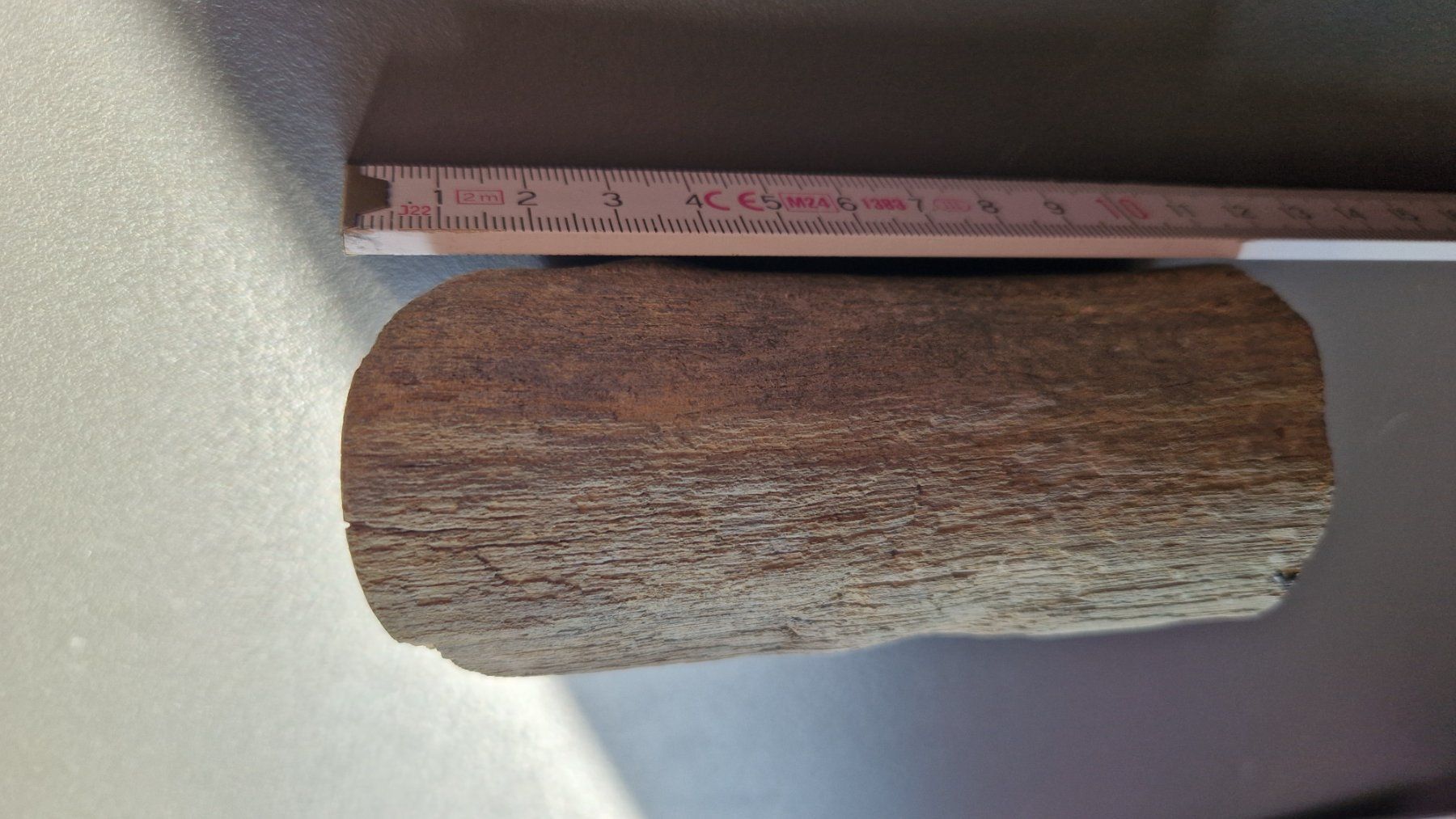 Fossili: Versteinertes Holz L: 115mm d: 50mm – Nuovo (secondo la descrizione) da Roggliswil venduto da Crosser17 1