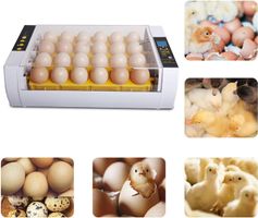 +24 Eier Brutmaschine Brutapparat