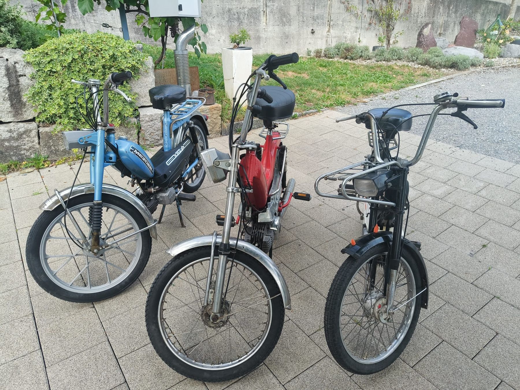 Puch Ciclomotori: 2x Puch maxi + Mezger – Usato da Heiligkreuz (Mels) venduto da Ragusa2025 4