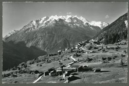 AK sw Zeneggen VS Mischabelgruppe Balfrin Nadelgrat ≈1966 