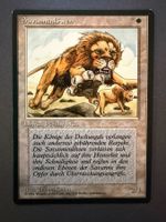 Savannenlöwen // Savannah Lions // FBB // Magic