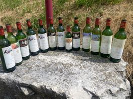 Lot Mouton Rothschild 1979, 1981, 1991 etc...