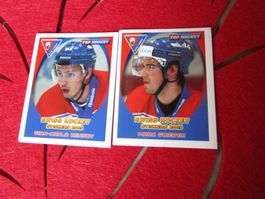 GCZ LIONS SWISS HOCKEY STICKER 2005 ANTIK 2STK