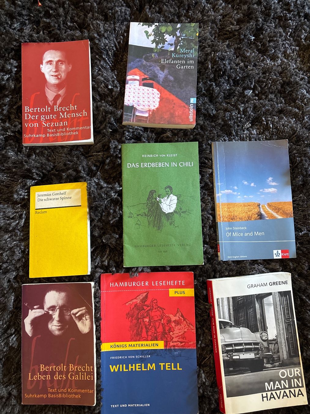 Libri: Deutsch & Englisch Matura Bücher – Usato da Bern venduto da acb_j6rp