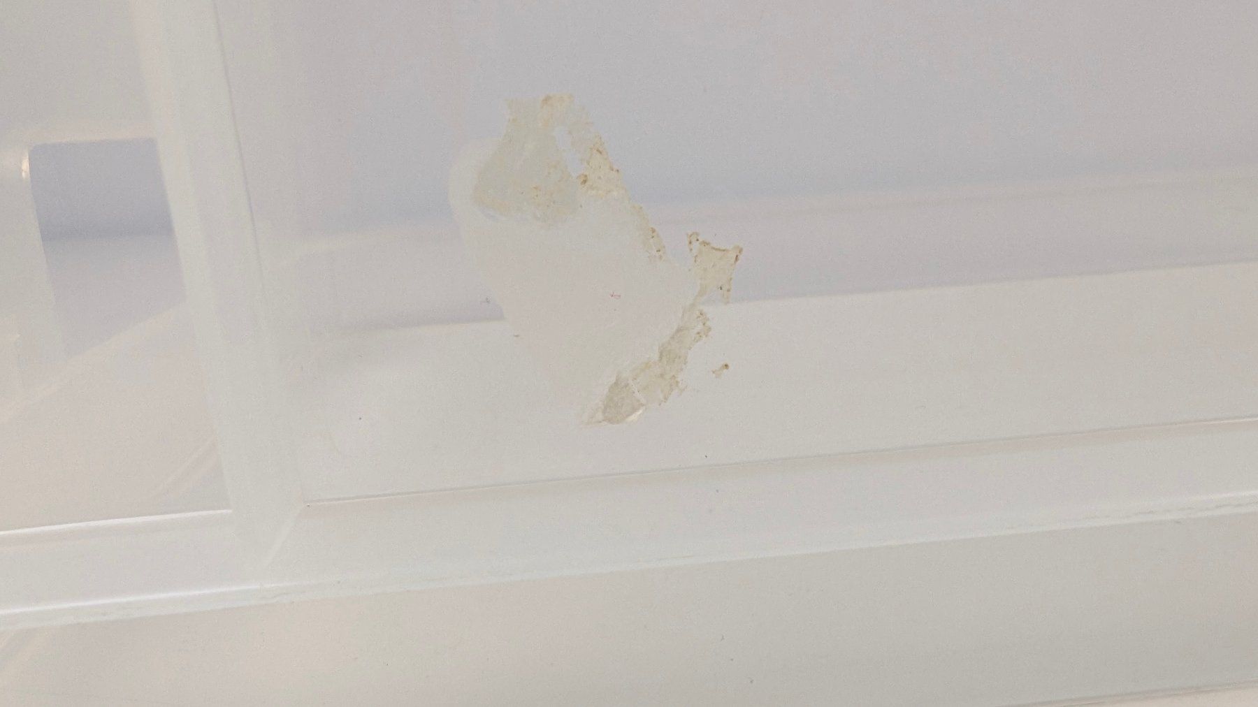 Caisses de transport: 2 Plastik KIsten – D'occasion à Wettingen par Wendemarket 2