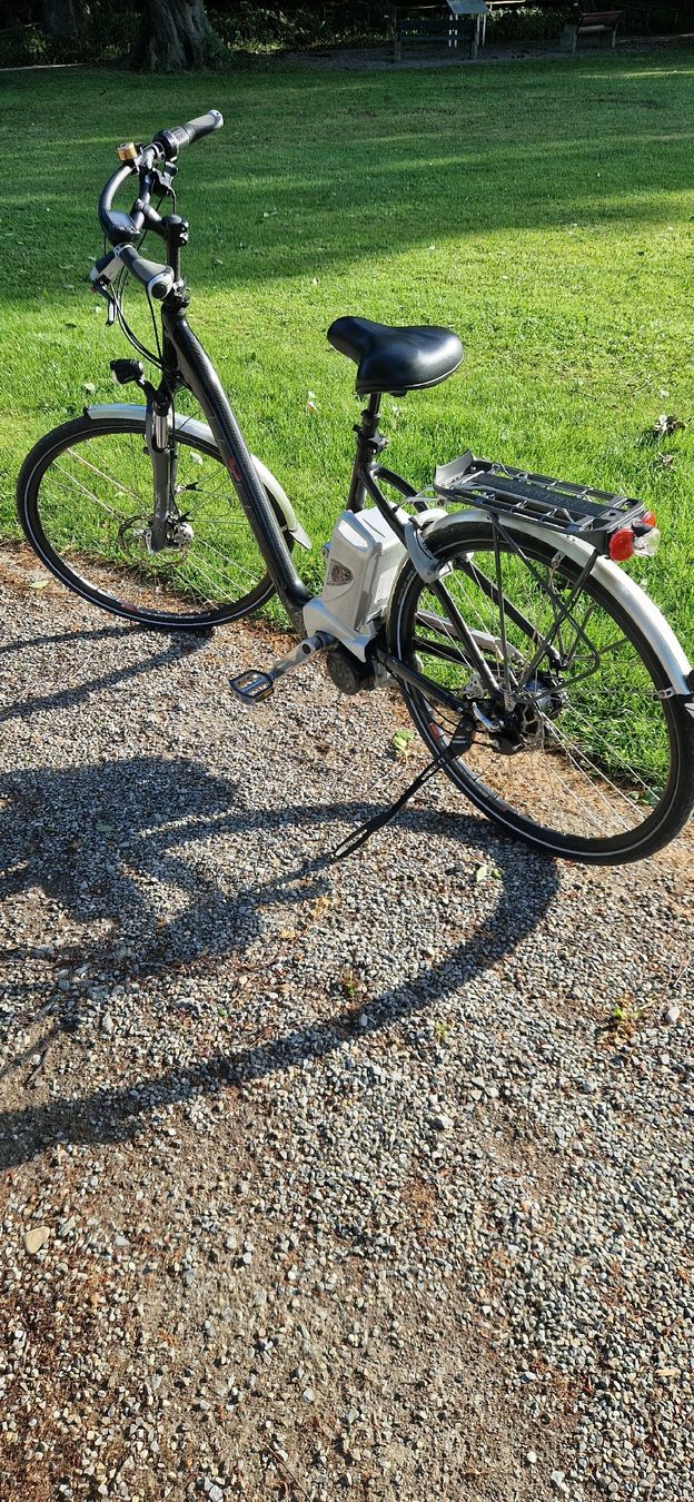 Flyer Biciclette: FLYER E-Bike  – Usato da Romanshorn venduto da fag_gnd6 6