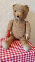 Teddy Bär, alt