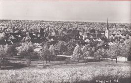 Roggwil TG Ortsansicht , ca.1930