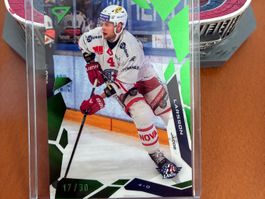 Sportzoo SCRJ Lakers J. Larsson Green 17/30