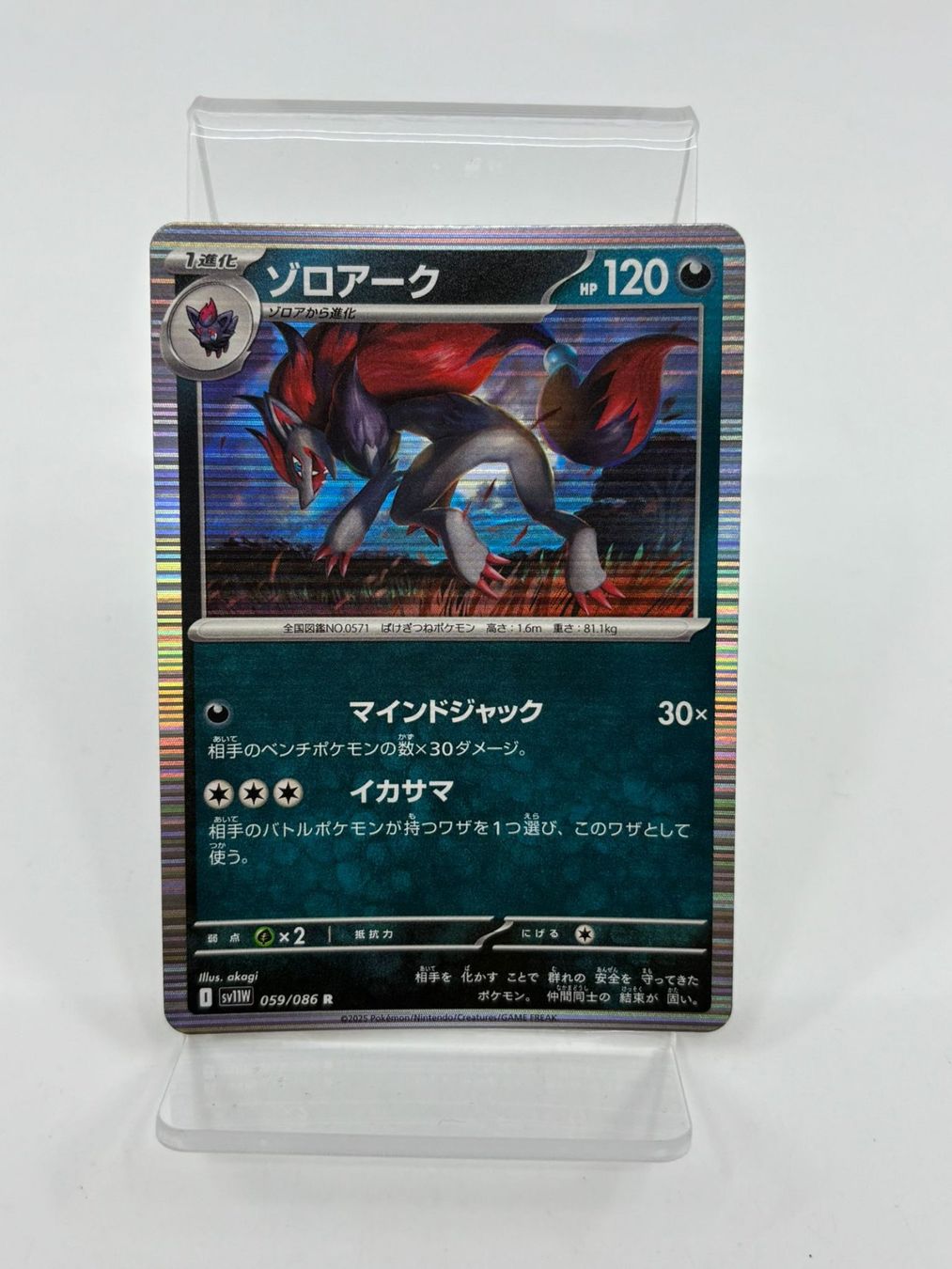 Pokémon Carte collezionabili: Pokemon Zoroark 059/086 (Japanisch) – Usato da Herisau venduto da Pokemon2026