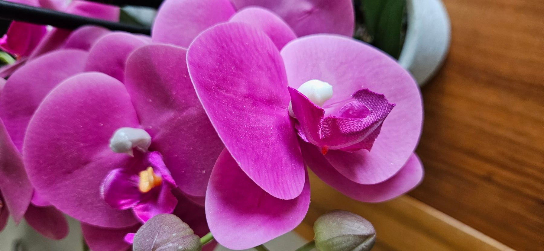 Piante & sementi: 2 Stck künstliche Orchideen – Nuovo (secondo la descrizione) da Birrwil venduto da Mischabel1 2