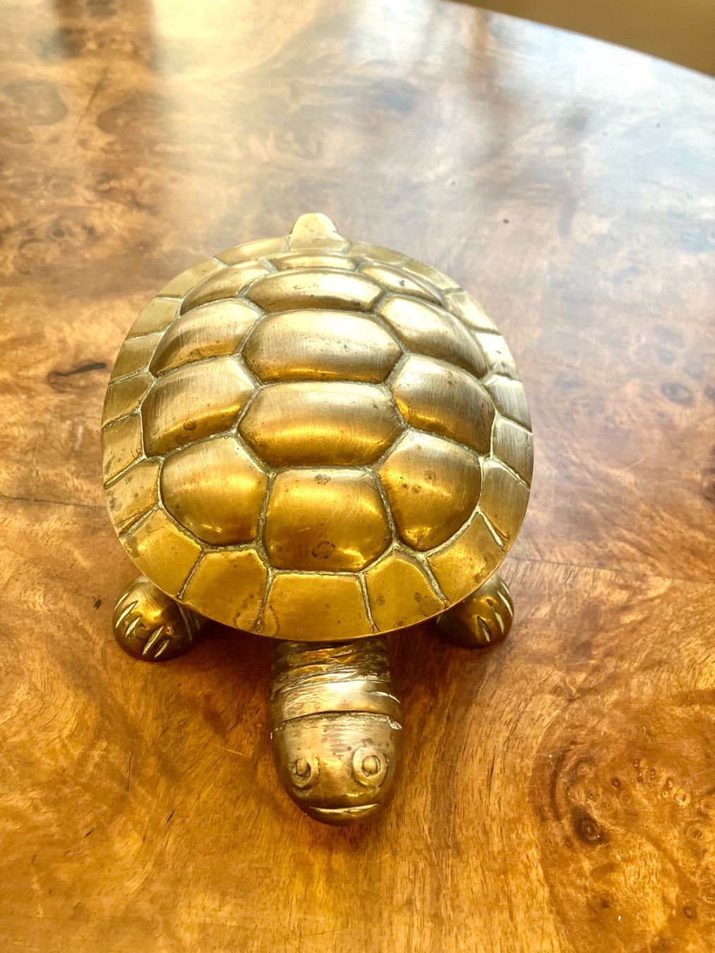 Sculture & Statue: Zwei Vintage Schildkröten aus Messing – Usato da Schaffhausen venduto da NinaRicardo 7