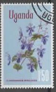 UGANDA - Clerodendtum Myrocoides  (Blume) (21