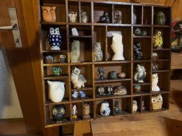 Setzkasten mit Eulensammlung