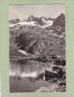 Steinalp am Sustenpass Fünffingerstöcke 1938