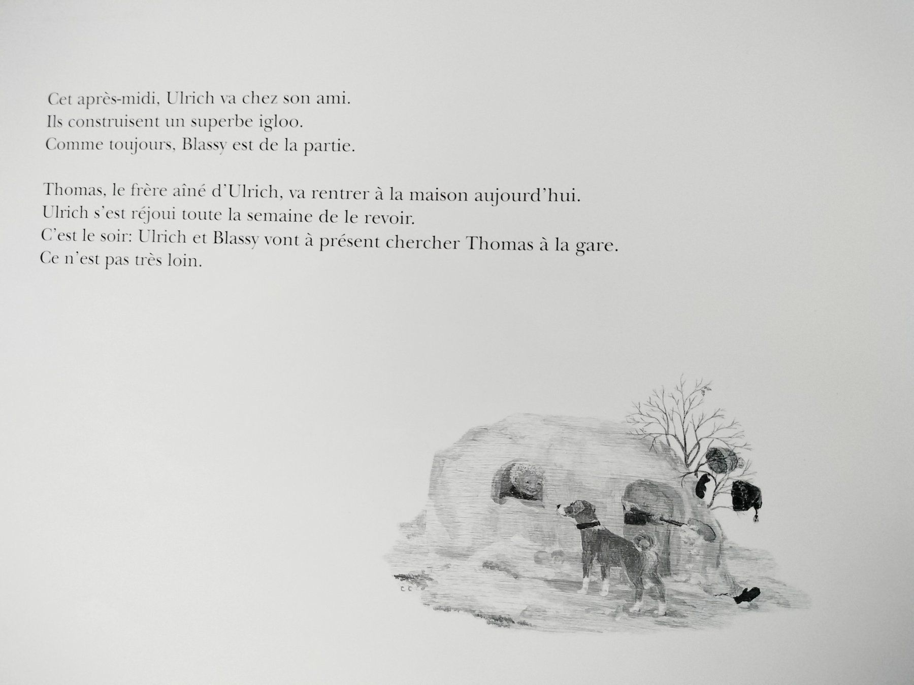 Libri: Blassy et Flicka Lilly Langenegger Appenzeller Verlag – Nuovo (secondo la descrizione) da Cortaillod venduto da rozinna 3