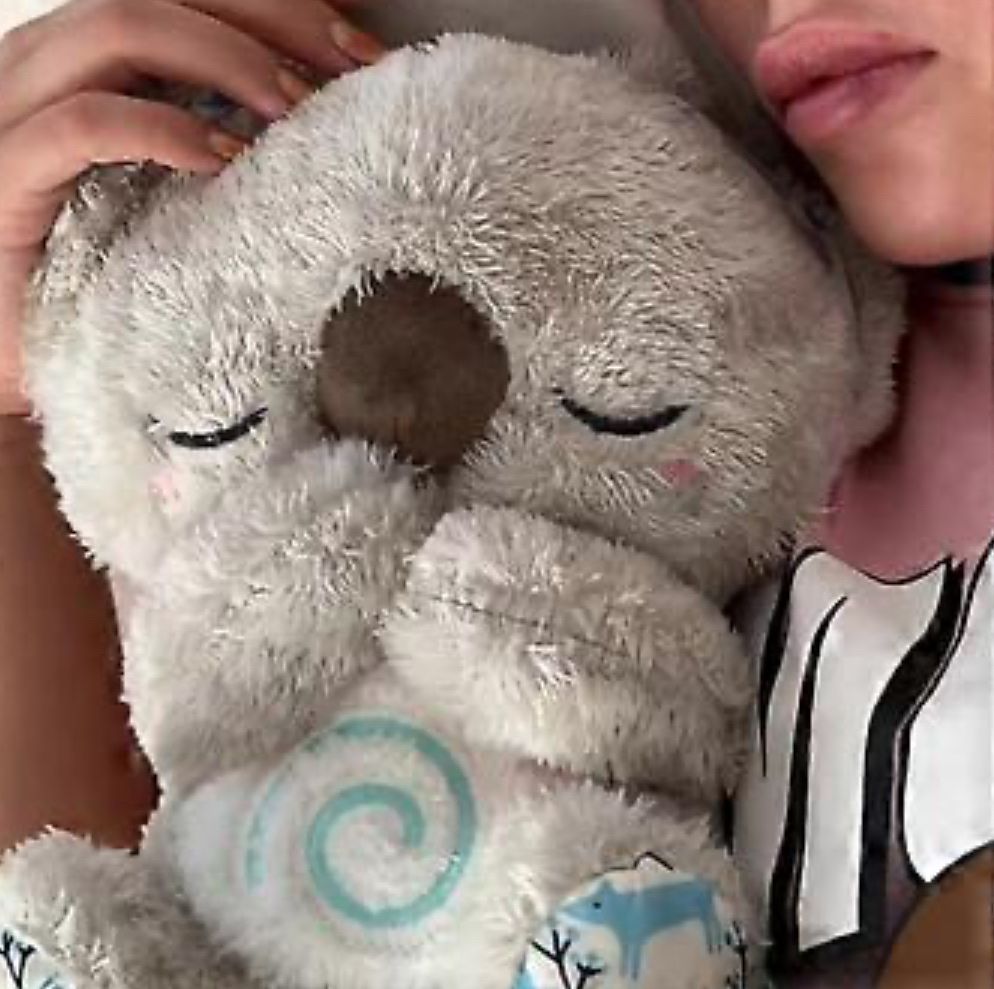 Spielzeuge: Original EVORA Entspannungs Koala – Gebraucht aus Oberhasli von Nostradamus01 2