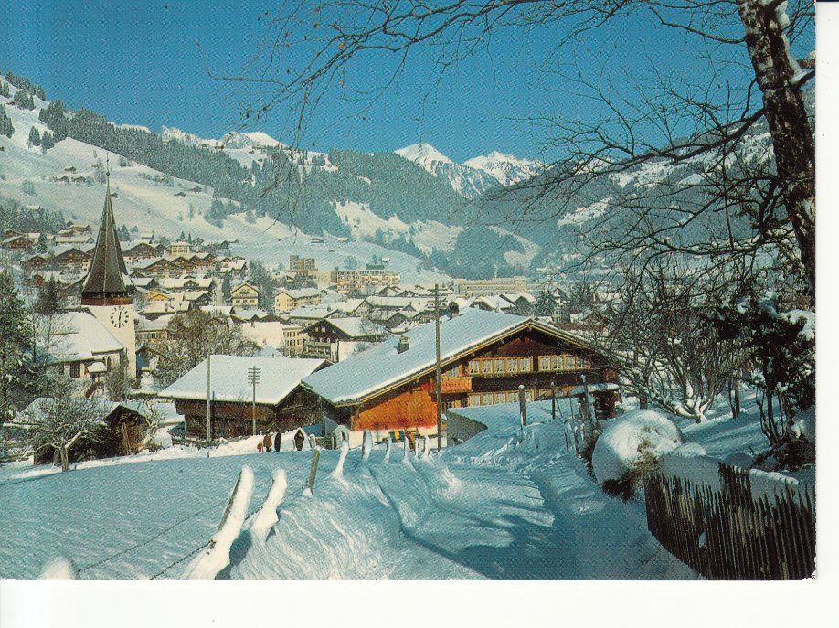 Cartoline postali: Zweisimmen 1979 – Usato da Bürglen TG venduto da StampGraf