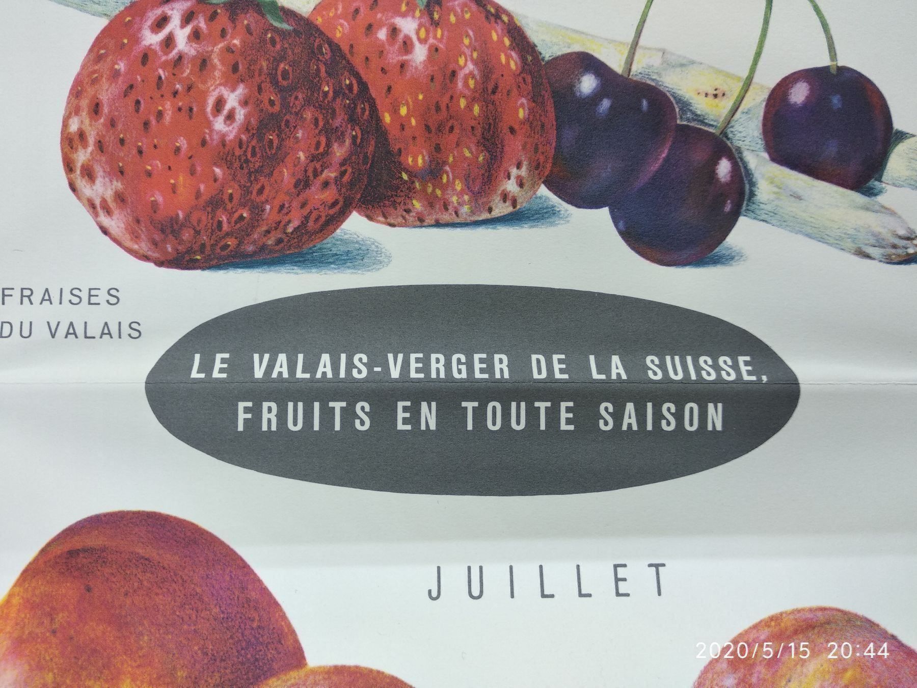Kalender: CALENDRIER DES FRUITS – Gebraucht aus Goldach von Gaip 3