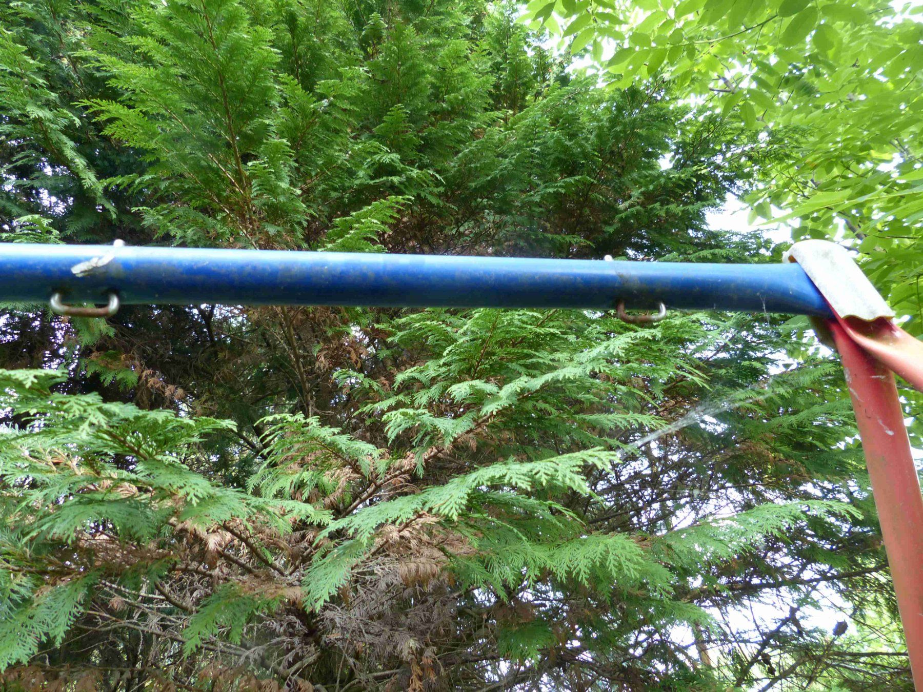 Autre balançoires de jardin: Schaukelgestell mit zwei Sitzen und einer Hängematte – D'occasion à Jona par Cinnestig 4