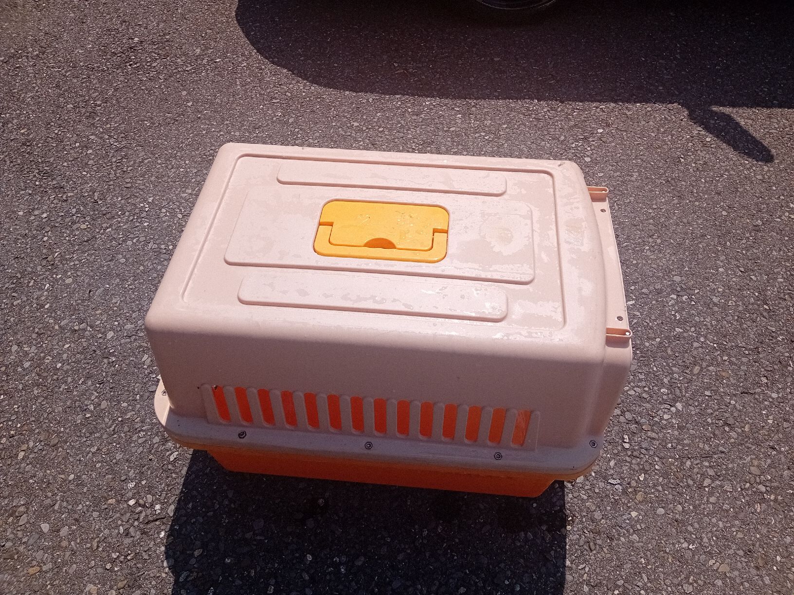 Cucce & Letti: Tier Transport Box – Usato da Emmenbrücke venduto da iseppi34