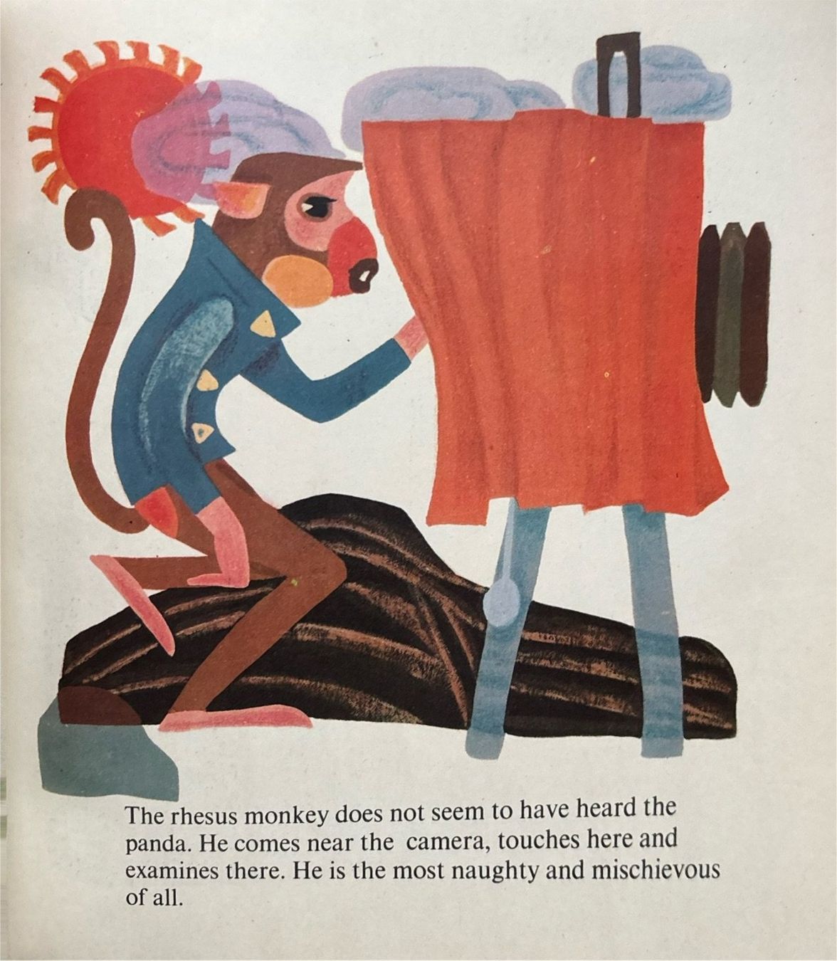 Libri: Photographing the Monkeys – Usato da Sarnen venduto da Livres 6