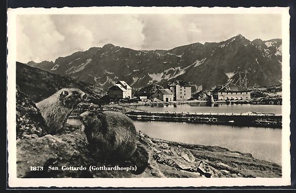 Ansichtskarten: San Gottardo, Uferpartie am Gotthardhosp – Gebraucht aus Berlin von bartko-reher