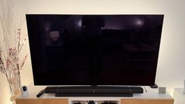 LG OLED 65CX DEFEKT!