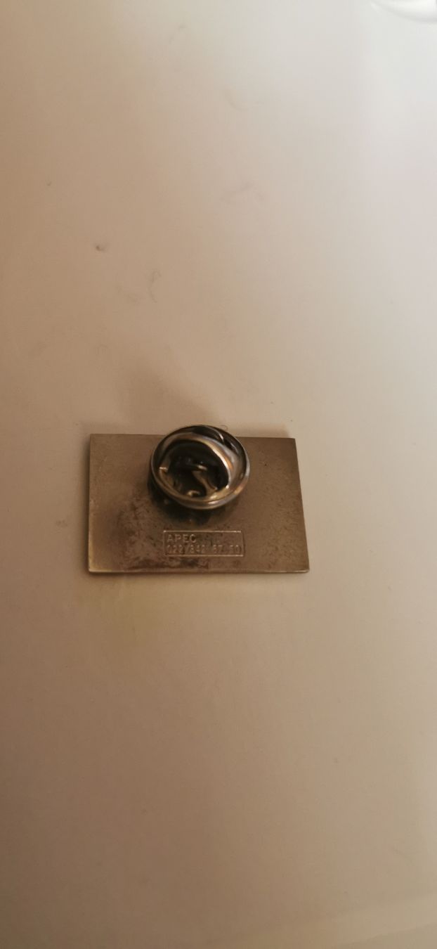 Placchette & Badge: Pin TSR – Usato da Genève venduto da vins50 1