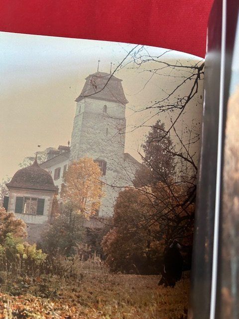 Libri: Elisabeth de Meuron, Erinnerungsbuch, schönes Exemplar – Usato da Bern venduto da oregonzwei 7