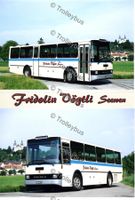 Postauto PK Saurer RH Vögtli, Seewen                  BTM047