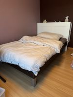 Bett Möbel Pfister