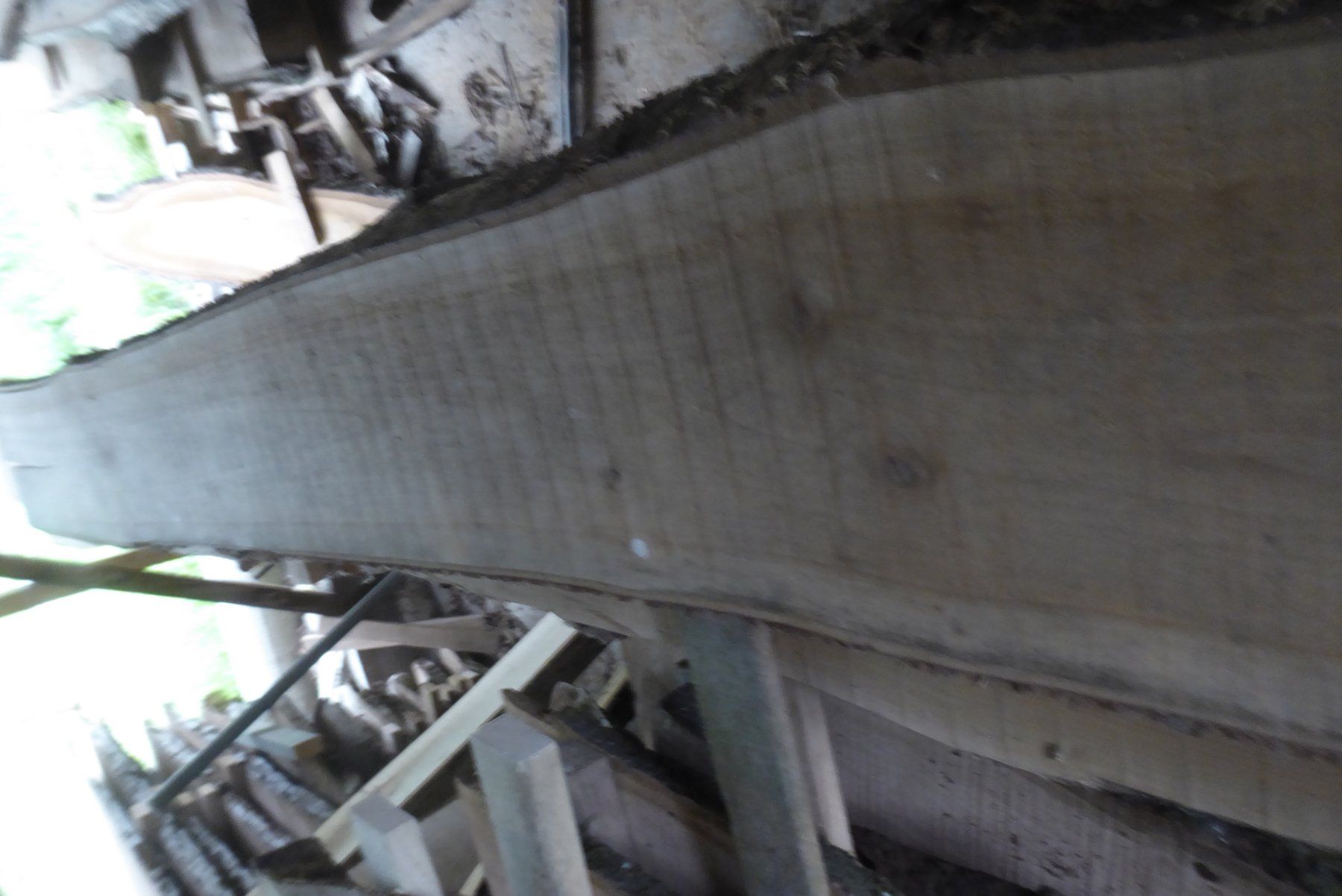 Articoli in legno: Kirschbaumbrett 30 mm – Nuovo (secondo la descrizione) da Sumiswald venduto da Hennri1 2