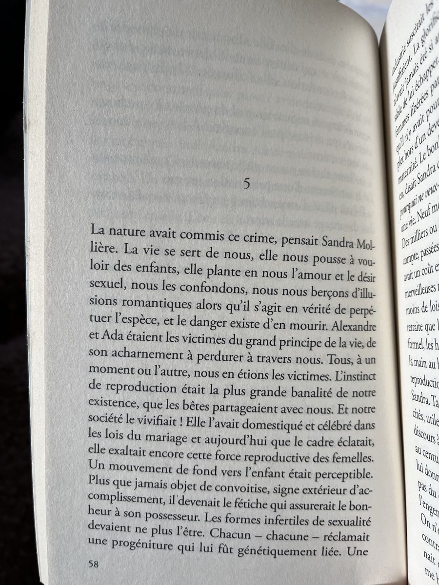 Libri: L’intimité - Alice Ferney – Nuovo (secondo la descrizione) da Ogens venduto da lau_z665 2
