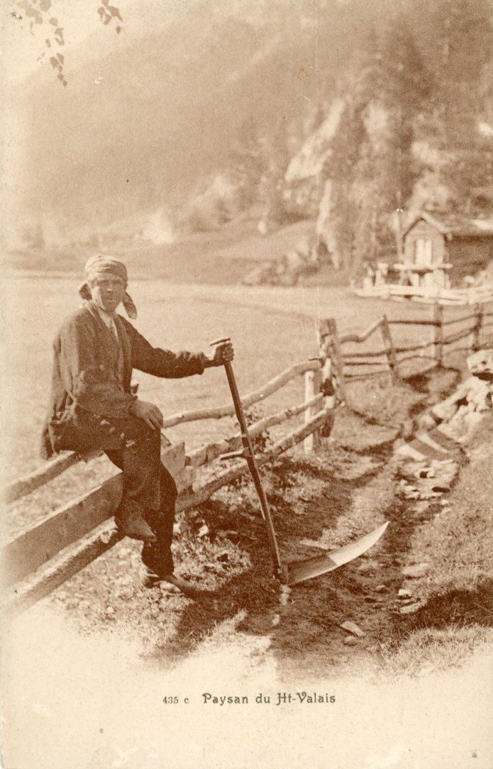 Cartes postales: Oberwallis   VS  -   Heu-Bauer mit Sense – D'occasion à Brig par Valcards54