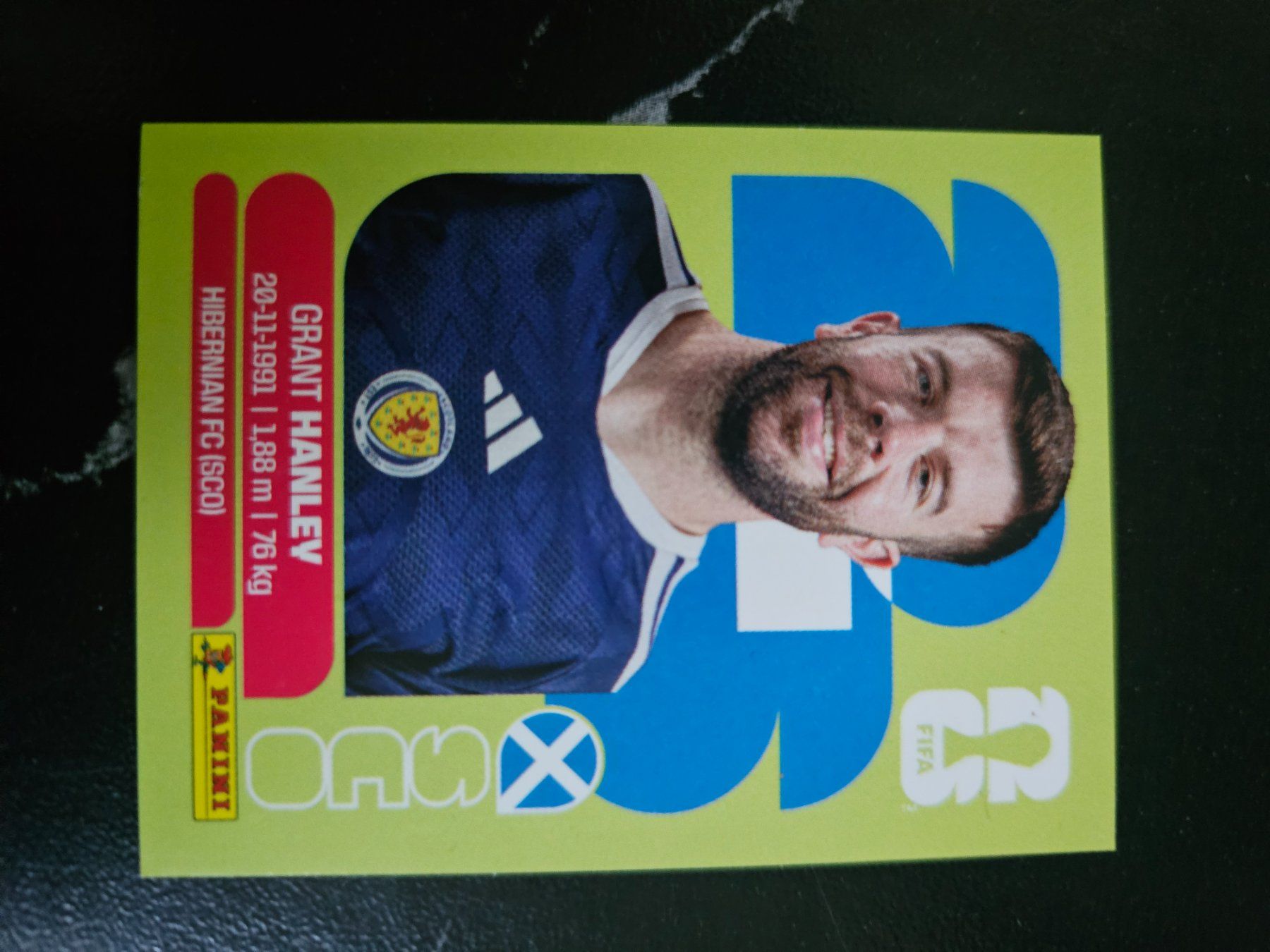 Panini Sammelbilder & Trading cards: SCO10 – Gebraucht aus Würenlingen von Dinli