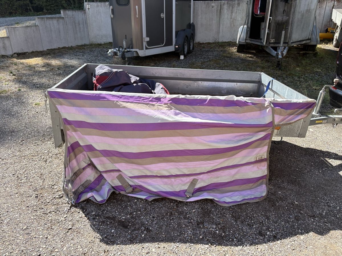 Decken & Deckenzubehör: Regendecke Full – Gebraucht aus Binningen von chi_n7g2