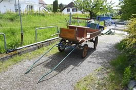 Pferdekutsche / Bockwagen für Pony
